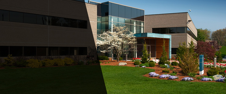 Silverton Landscapers