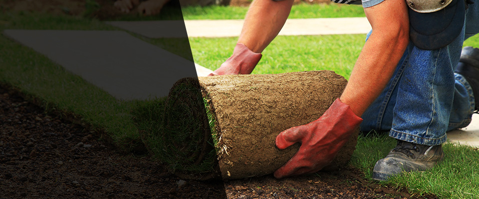 Silverton Landscapers